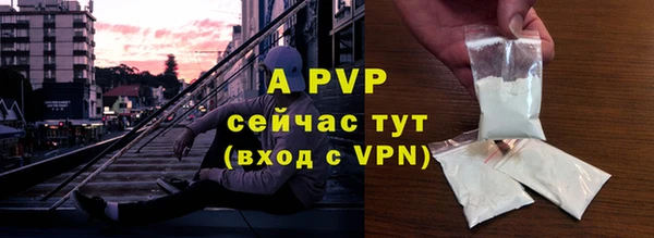 дмт Дмитров