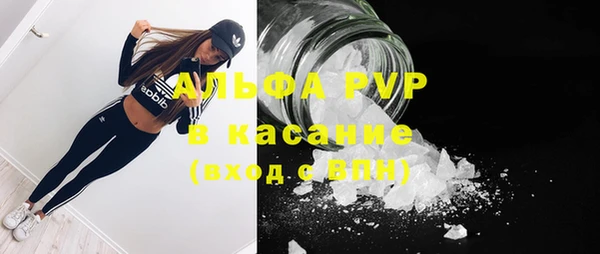 дмт Дмитров