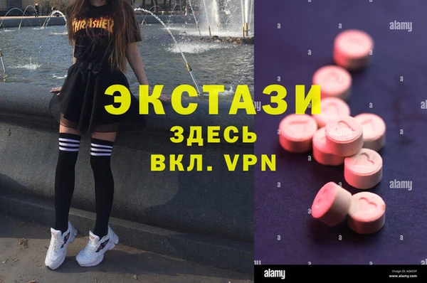 дмт Дмитров