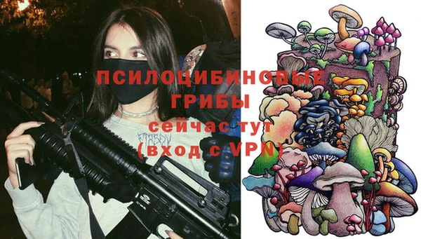дмт Дмитров