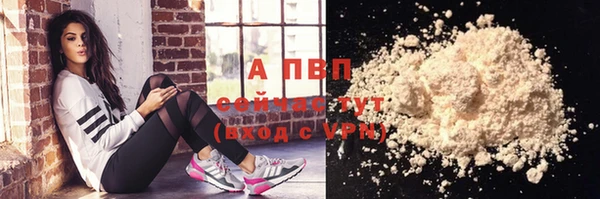 PSILOCYBIN Гусь-Хрустальный