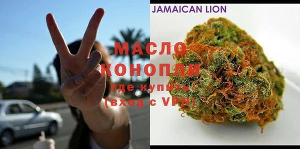 дмт Дмитров