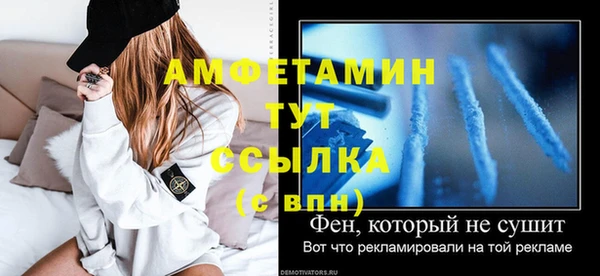 дмт Дмитров
